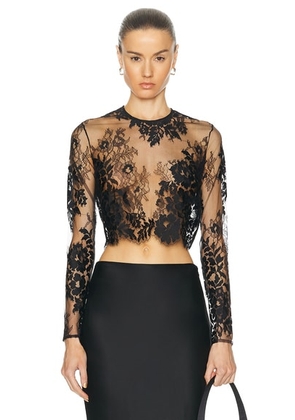 The Sei Long Sleeve Lace Tee in Black - Black. Size 0 (also in 2, 4, 8).