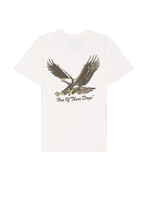 ONE OF THESE DAYS Screaming Eagle Tee in Bone - Cream. Size L (also in M, S, XL/1X).