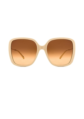 Chloe Elys Square Sunglasses in Ivory.