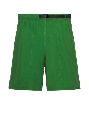 Carrots Stem Nylon Shorts in Green. Size M, S, XL/1X.