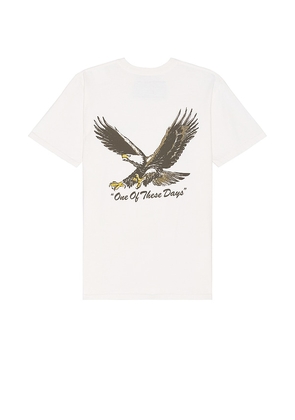 ONE OF THESE DAYS Screaming Eagle Tee in Cream. Size M, S, XL/1X.
