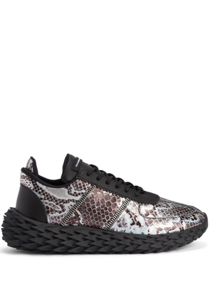 Giuseppe Zanotti Urchin snakeskin-print leather sneakers - Black