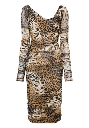 Roberto Cavalli leopard-print mesh midi dress - Neutrals