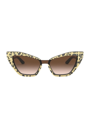 Dolce & Gabbana Acetate Cat Eye Sunglasses
