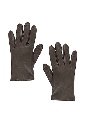 Saint Laurent Leather Gloves in Khaki & Gold - Olive. Size 7.5 (also in 8).