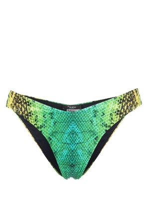 Noire Swimwear snakeskin-print bikini bottoms - Green