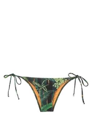 Lygia & Nanny Thai leaf-print bikini bottoms - Green