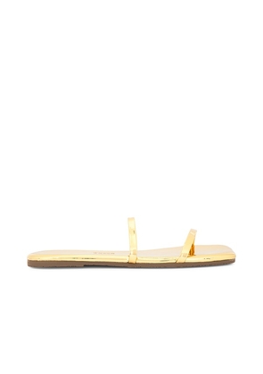 TKEES Gemma Square Toe Mirror Sandal in Metallic Gold. Size 6, 7, 8, 9.