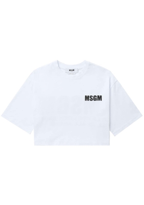 MSGM logo-print cotton cropped T-shirt - White