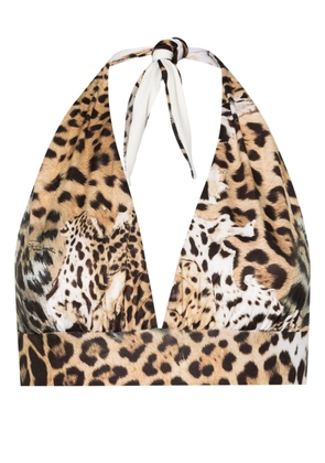 Roberto Cavalli jaguar skin-print bikini top - Neutrals