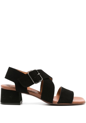 Chie Mihara 35mm Quisael suede sandals - Black