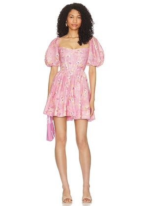 Bardot Kiah Corset Mini Dress in Pink. Size 6.