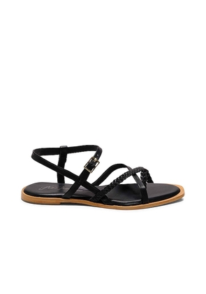 Free People Sunny Days Sandal in Black. Size 10, 11, 6, 7, 7.5, 8, 8.5, 9, 9.5.