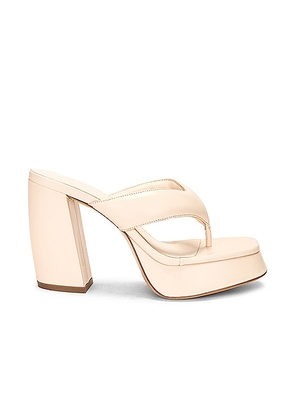 GIA BORGHINI Platform Flip Flop Sandal in Cream - Cream. Size 40 (also in 41).