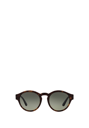 Giorgio Armani Ar8146 Havana Sunglasses