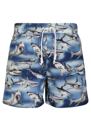 Palm Angels Blue Shark Swim Shorts
