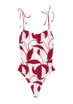 Kiton Printed One-Piece Swimsuit