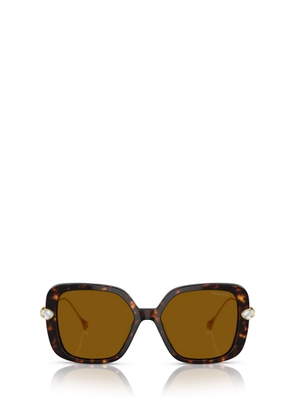 Swarovski Sk6011 Havana Sunglasses