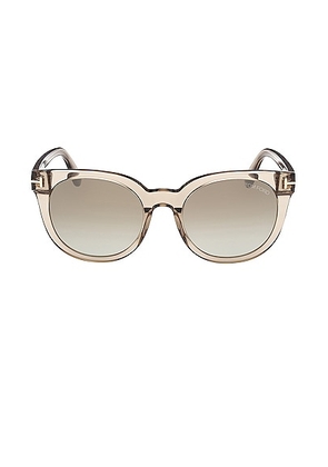 TOM FORD Moira Sunglasses in Transparent Oyster - Brown. Size all.