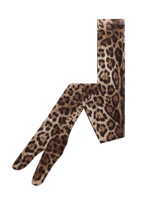 Dolce & Gabbana Leopard Print Tights