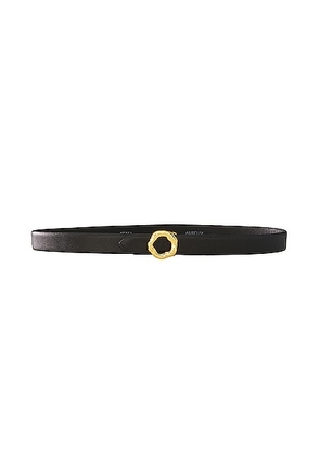 AUREUM Black & Gold Motif Belt in Black - Black. Size XS/S (also in ).