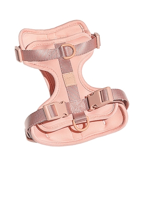 Wild One Small Harness in Blush.