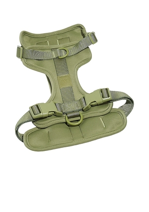 Wild One Small Harness in Green.