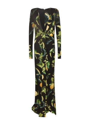 Roberto Cavalli Long-Length Printed Dress