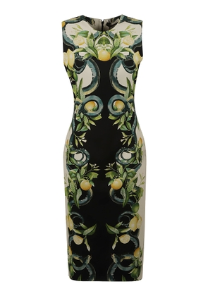 Roberto Cavalli Lemon Snake Printed Sleeveless Dress