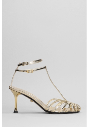 Alevì Jessie 075 Sandals In Gold Leather