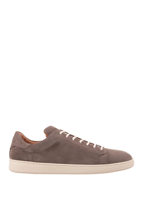 Kiton Taupe Suede Low Sneakers