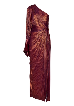 Maria Lucia Hohan Palmer Long Dress