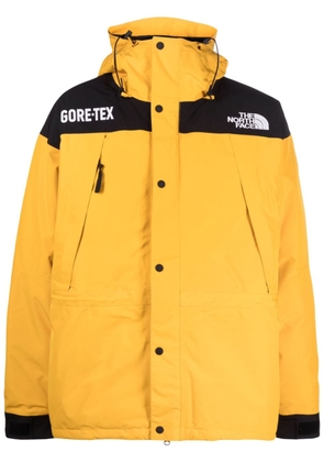 The North Face Gore-Tex Mountain Guide insulated jacket - Orange