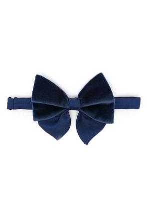 FURSAC velvet bow tie - Blue