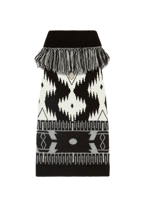 Alanui 'icon sweater' x poldo dog couture - M Bianco