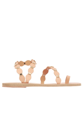 Ancient Greek Sandals - Dame D'auxerre