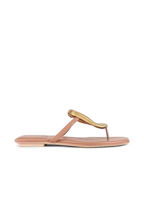 Jeffrey Campbell Linques-2 Sandal in Neutral. Size 6.