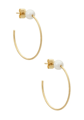 SHASHI Classique Pearl Earring in Metallic Gold.