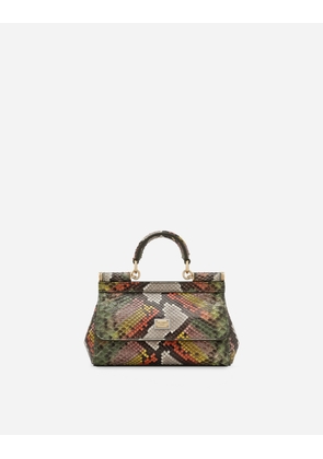 Dolce & Gabbana Borsa A Mano - Woman Handbags Green Onesize