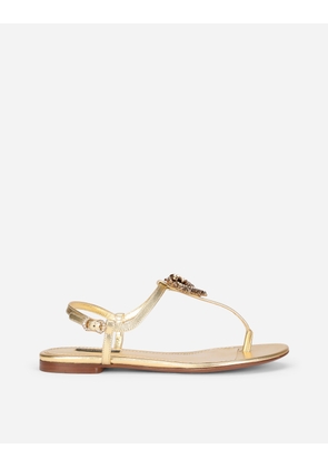 Dolce & Gabbana Nappa Leather Devotion Thong Sandals - Woman Flat Gold Leather 35