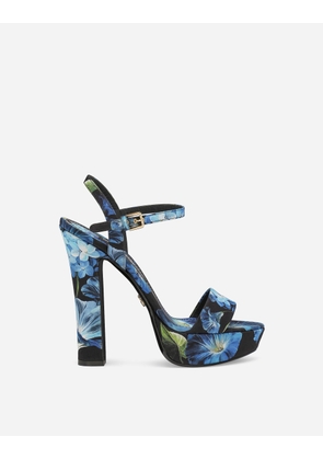 Dolce & Gabbana Sandalo Plt - Woman Sandals And Wedges Multicolor 36