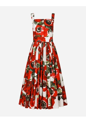 Dolce & Gabbana Cotton Sun Dress With Anemone Print - Woman Dresses Print 38