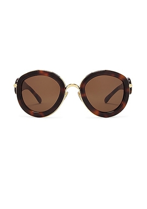 Loewe Round Sunglasses in Dark Havana & Brown - Brown. Size all.