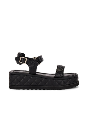 Tony Bianco Zahara Sandal in Black. Size 10, 6, 8, 9.