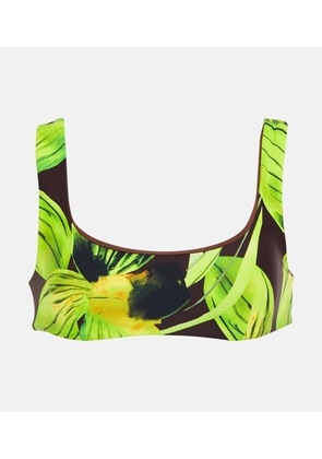 Louisa Ballou Scoop printed bikini top