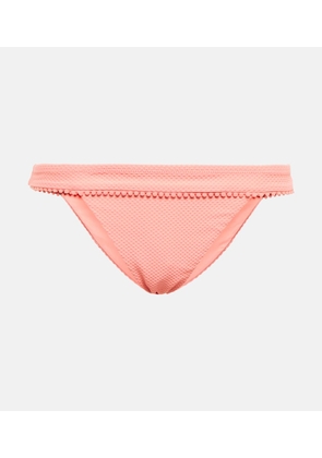 Heidi Klein Rosa Polyantha bikini bottoms