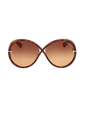 TOM FORD Edie Sunglasses in Shiny Havana - Brown. Size all.