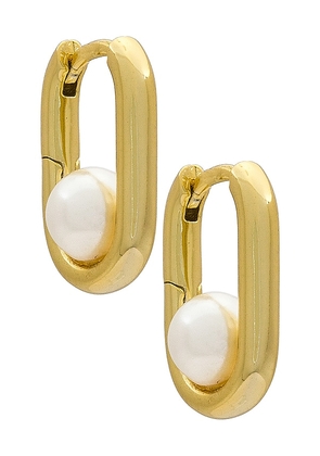 By Adina Eden Oval & Pearl Huggie Earring in Metallic Gold.