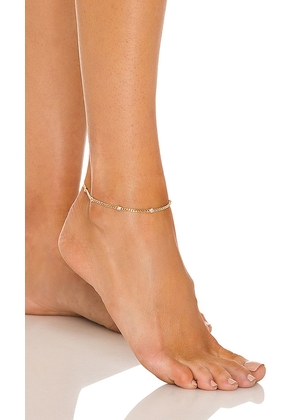 Lili Claspe Daisy Medium Link Anklet in Metallic Gold.