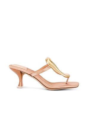Jeffrey Campbell Linq-Up Sandal in Metallic Gold. Size 9.